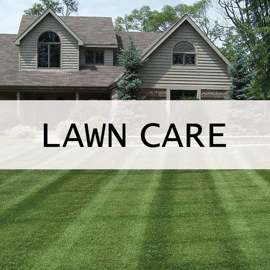 Gallery image 8 — affordable artificial turf Cherry Hills