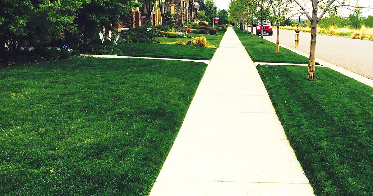 Clean Air Lawn Care Central Park
