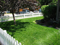 Gallery image 5 — pet safe lawn fertilization Cherry Creek