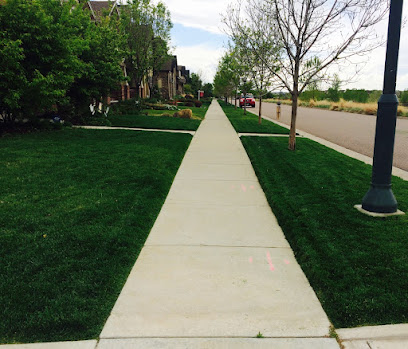 pet safe lawn fertilization Cherry Creek