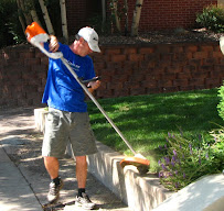 Gallery image 3 — pet safe lawn fertilization Cherry Creek