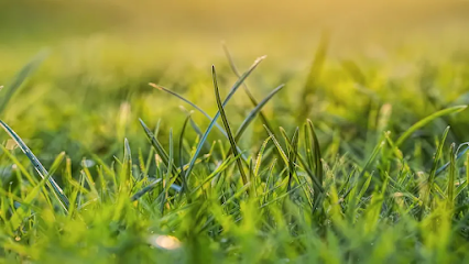 commercial landscaping Making the Cut Landscape and Lawn Care