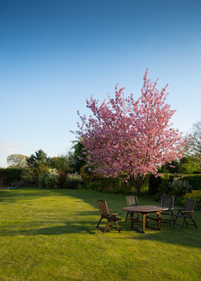 best lawn fertilization company Brighton