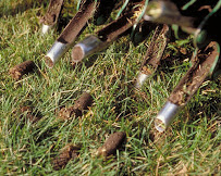 Gallery image 2 — liquid aeration Denver Metro