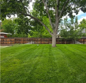 Gallery image 6 — snow removal Denver metro area