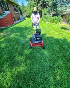 Gallery image 8 — snow removal Denver metro area