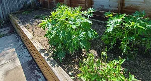Gallery image 3 — snow removal Denver metro area
