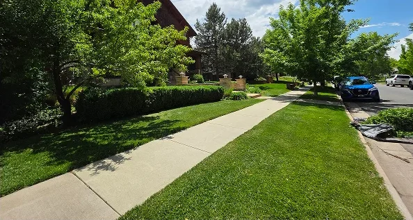 leaf cleanup Denver metro area