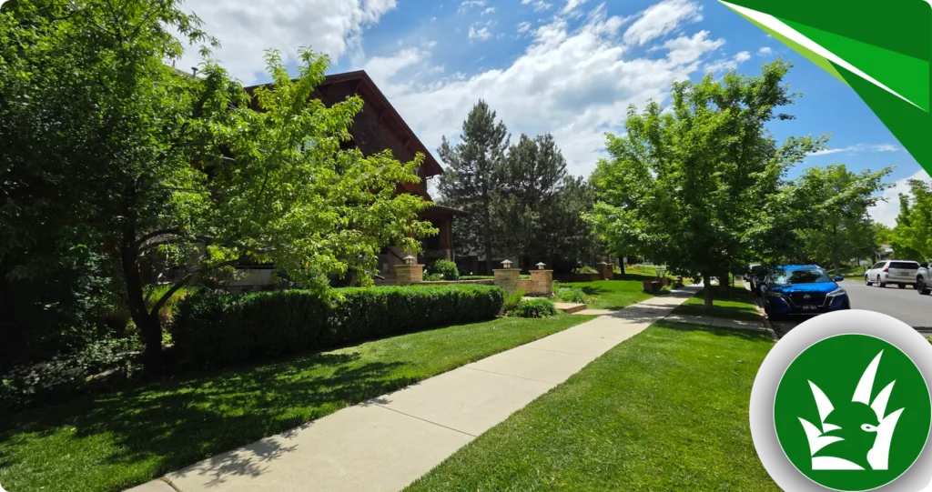 snow removal Denver metro area