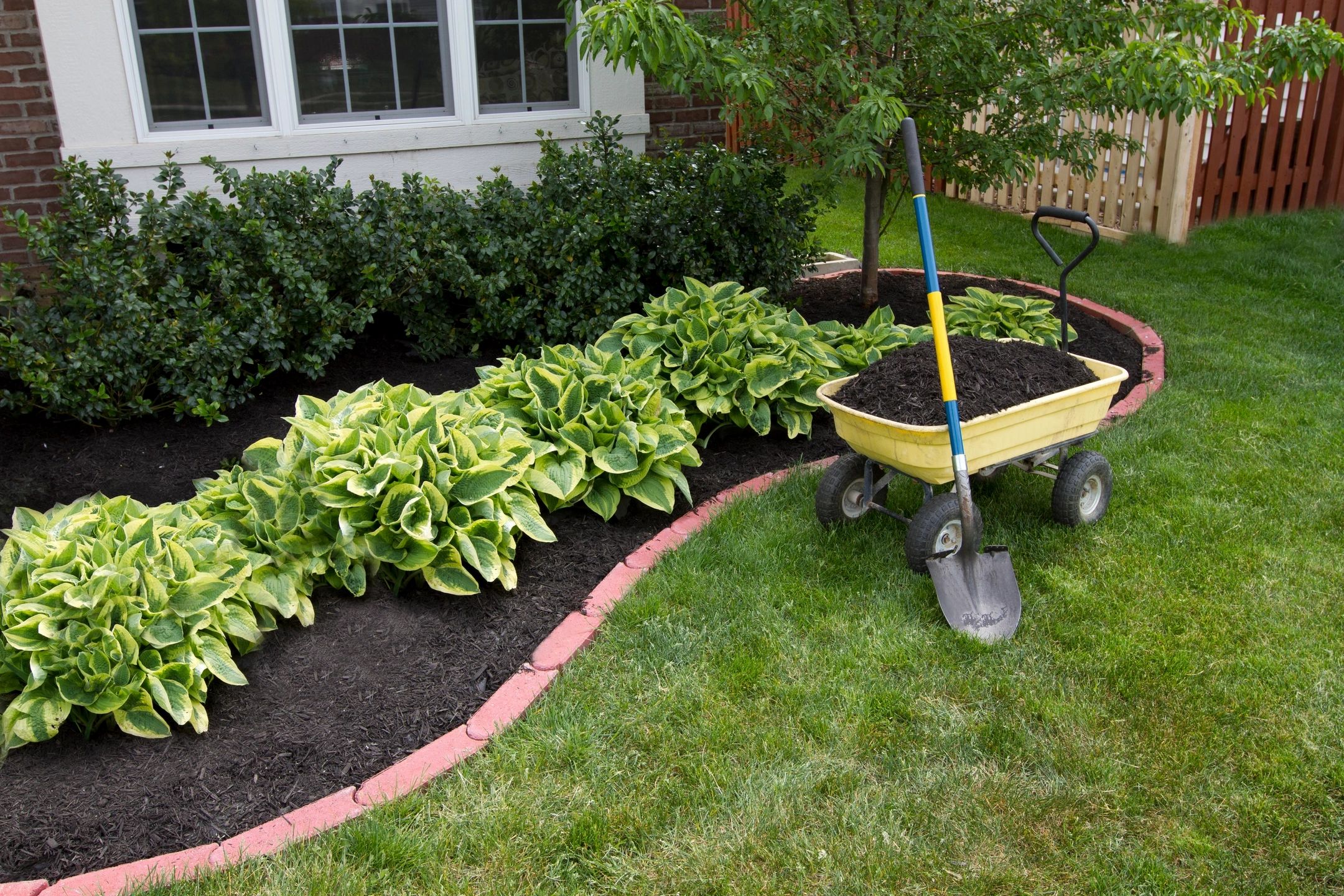 yard cleanup service in Sterling Landscaping