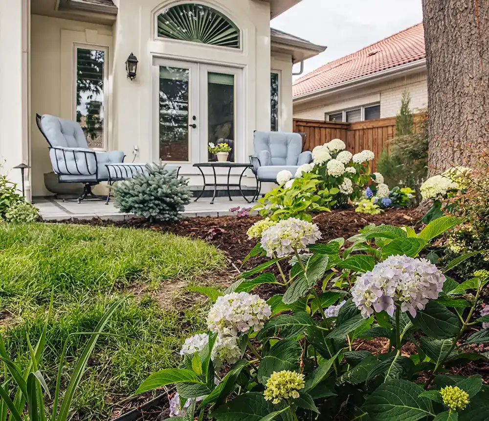 deck building services in Denver metro area