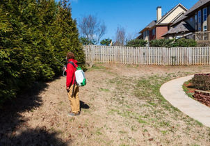 Gallery image 6 — Kuma Pest Control