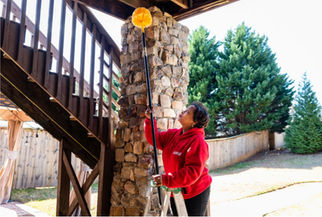 Gallery image 7 — Kuma Pest Control