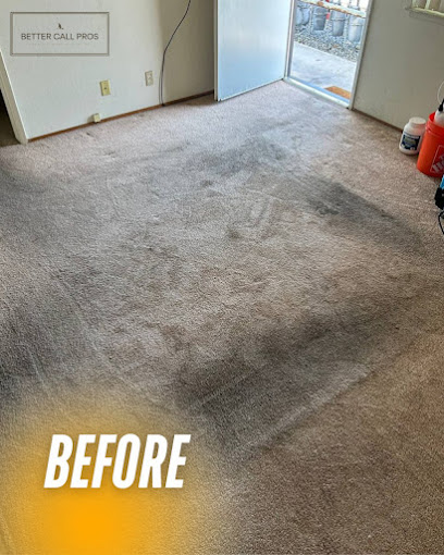 affordable upholstery cleaning Los Angeles