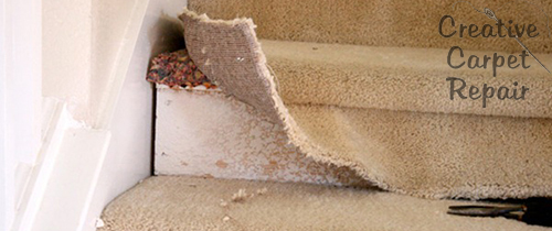Gallery image 3 — commercial carpet repair Fresno