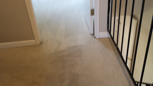 Gallery image 3 — eco-friendly carpet cleaning San Jose