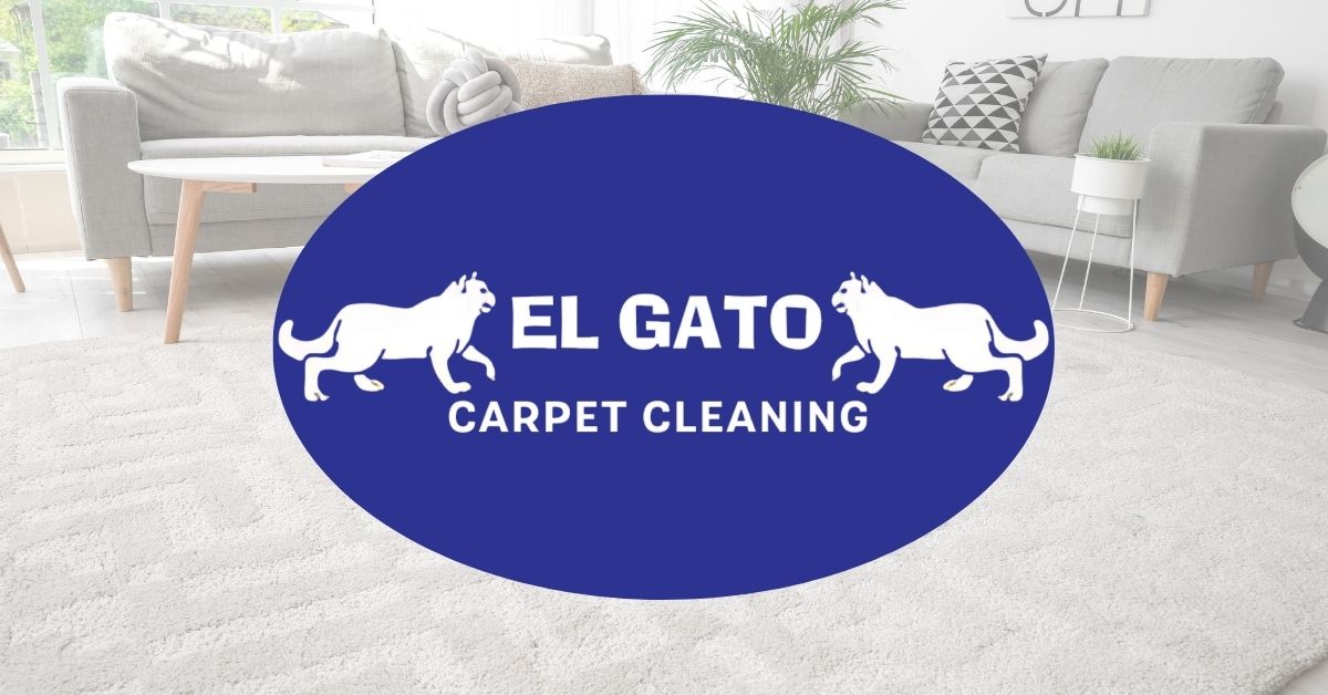 Gallery image 2 — eco-friendly carpet cleaning San Jose