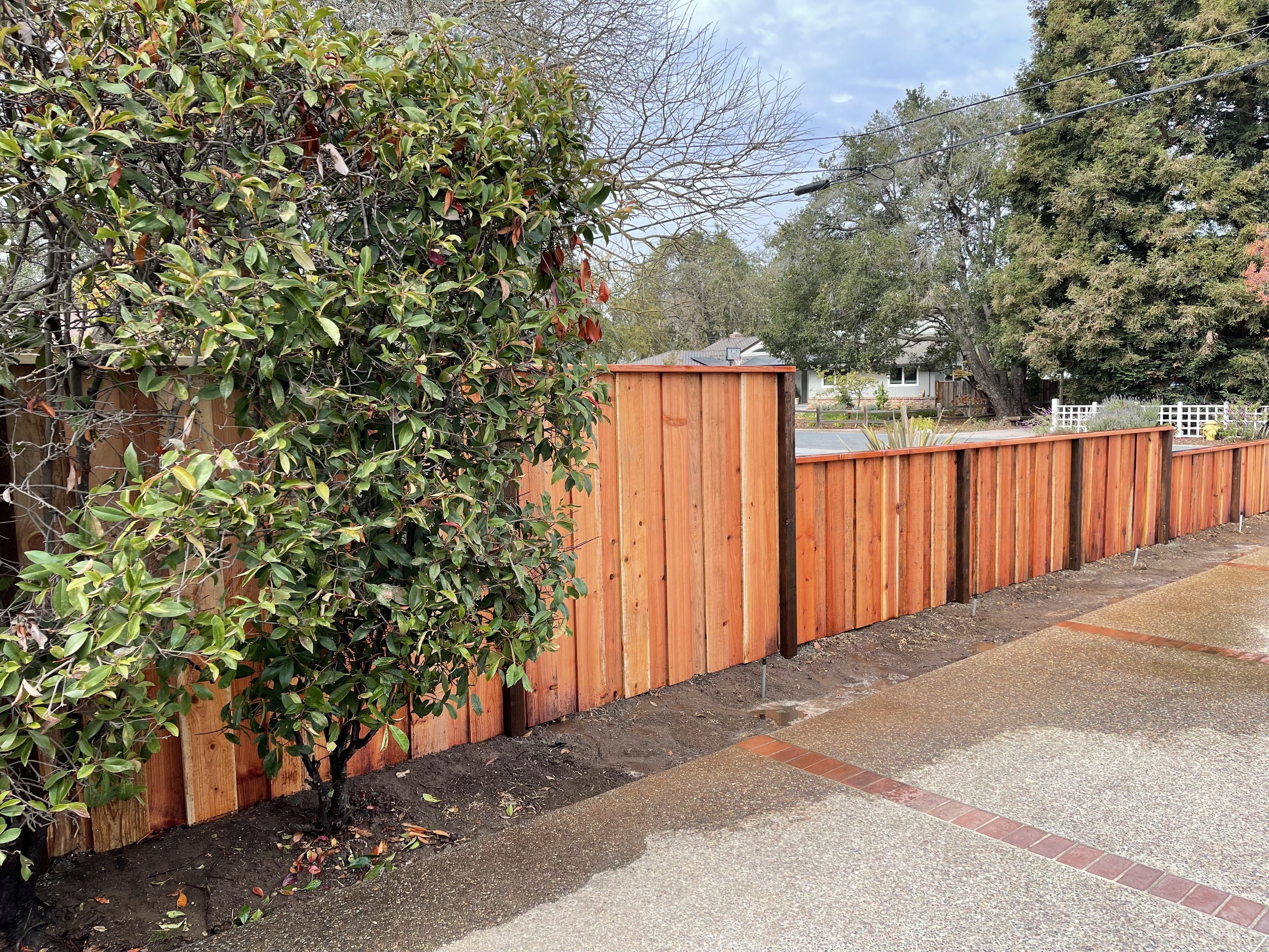 Gallery image 4 — custom fence design Atherton