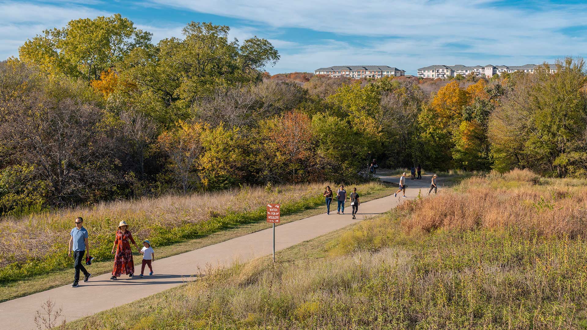 Gallery image 4 — commercial landscape architecture Dallas