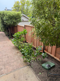 Gallery image 2 — retaining wall contractor San Francisco