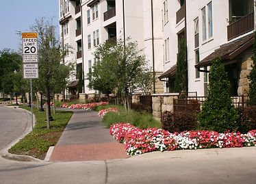 sustainable landscape design Dallas