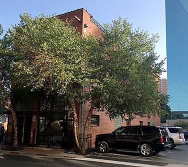 About community building landscape architects Dallas