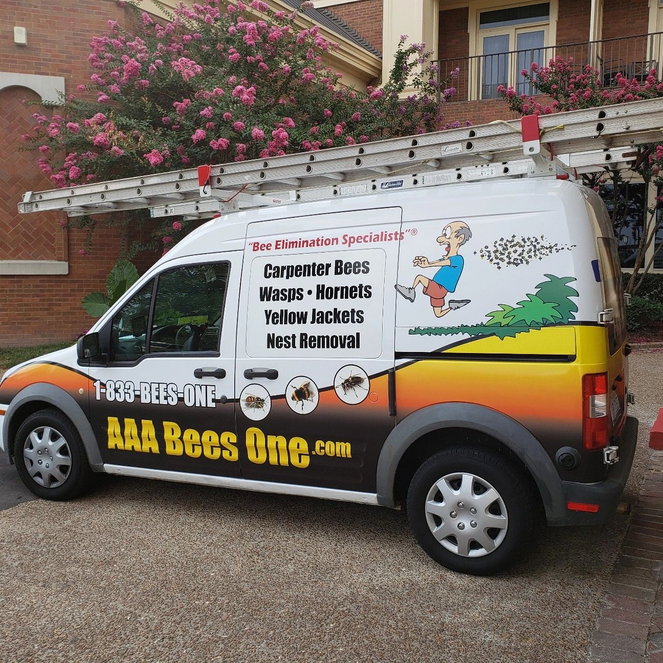 Gallery image 1 — AAA Bees One