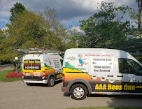 Gallery image 6 — AAA Bees One