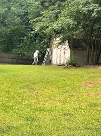 Gallery image 8 — AAA Bees One