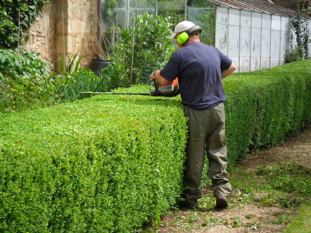 Gallery image 2 — tree service Dallas TX