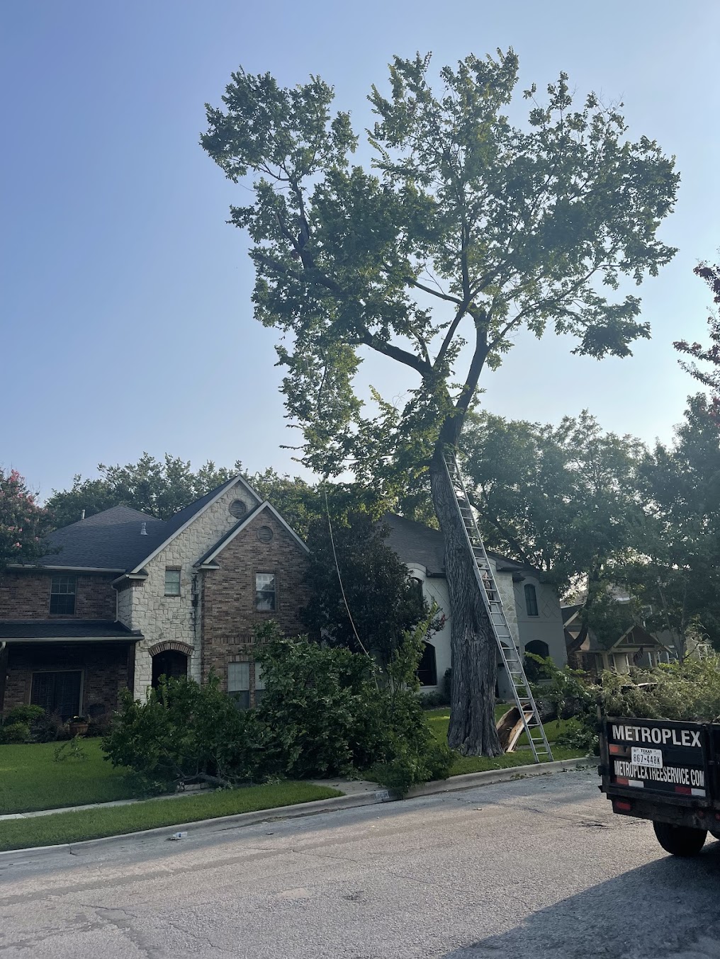 Gallery image 5 — tree service Dallas TX