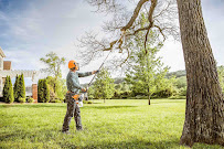 Gallery image 6 — tree service Dallas TX