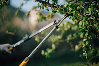 Gallery image 7 — tree service Dallas TX