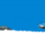pet hair removal car detailing Katy, TX