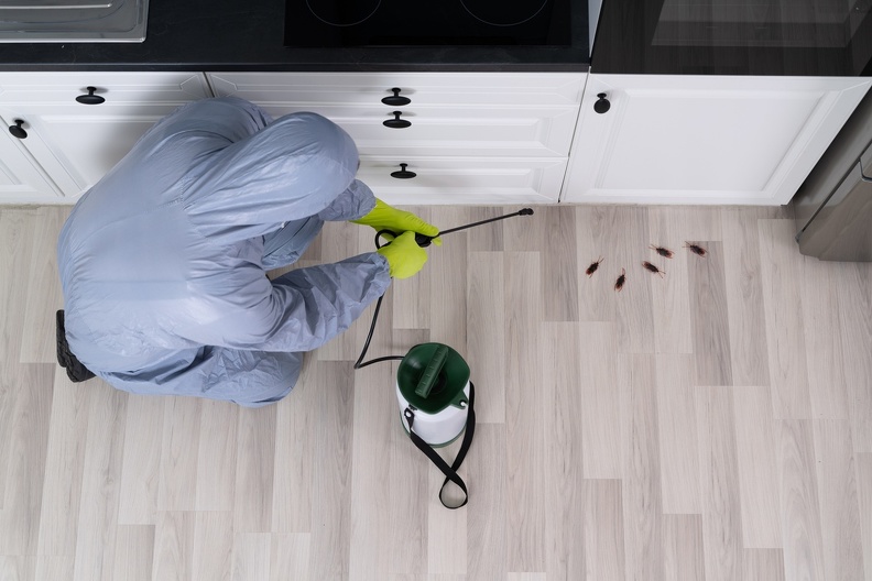 Gallery image 4 — termite bait system Decatur