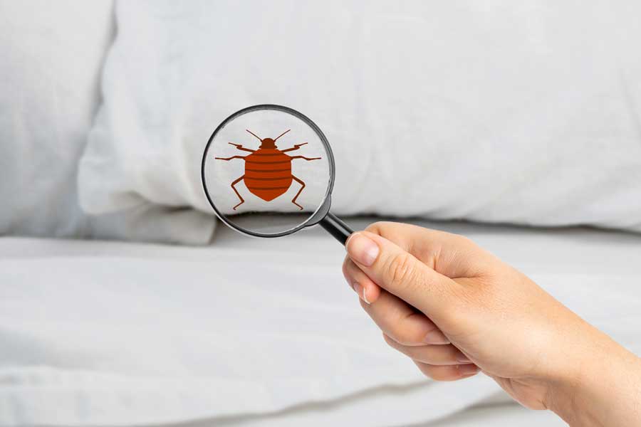 complete pest management Decatur