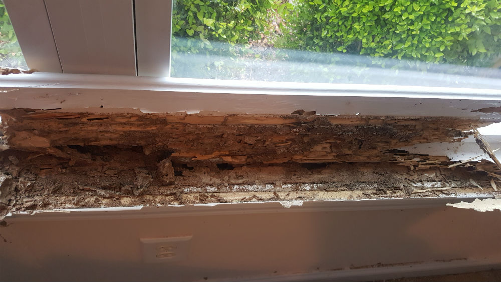 termite bait system Decatur