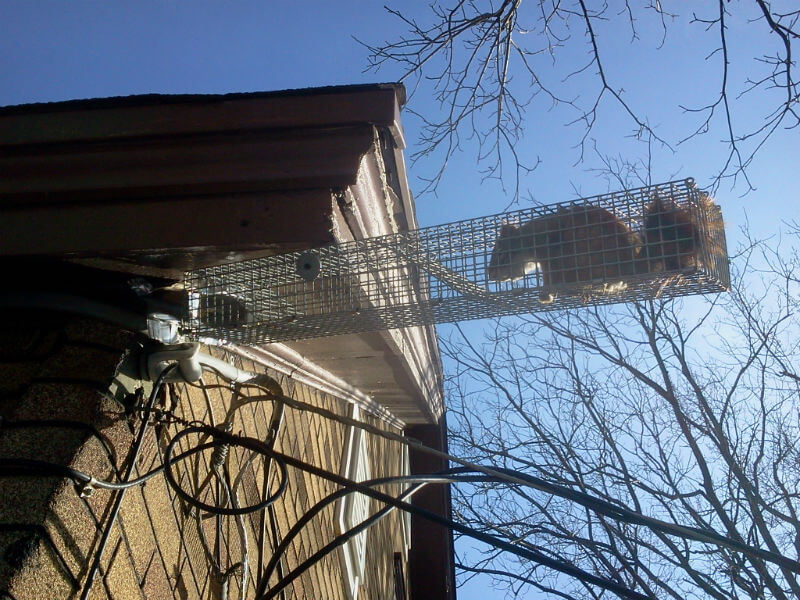 Gallery image 10 — termite bait system Decatur
