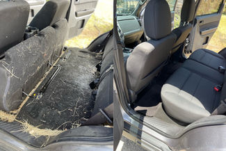 Gallery image 8 — Jason's Mobile Detailing