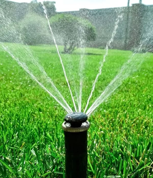 Gallery image 1 — lawn fertilization Dallas