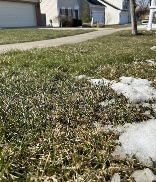 Gallery image 2 — lawn fertilization Dallas