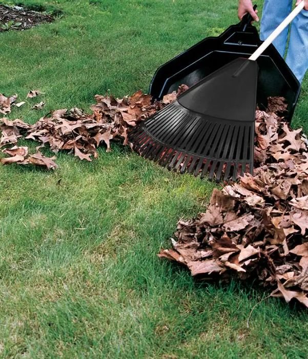 Gallery image 5 — lawn fertilization Dallas