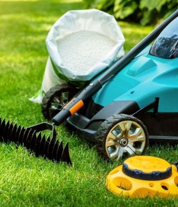 About lawn fertilization Dallas