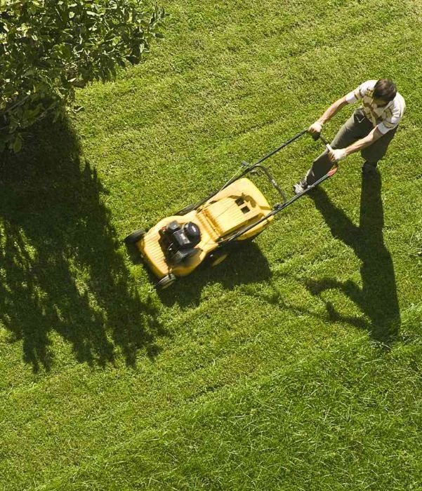 lawn fertilization Dallas