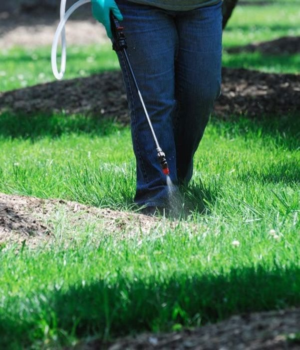 Gallery image 9 — lawn fertilization Dallas