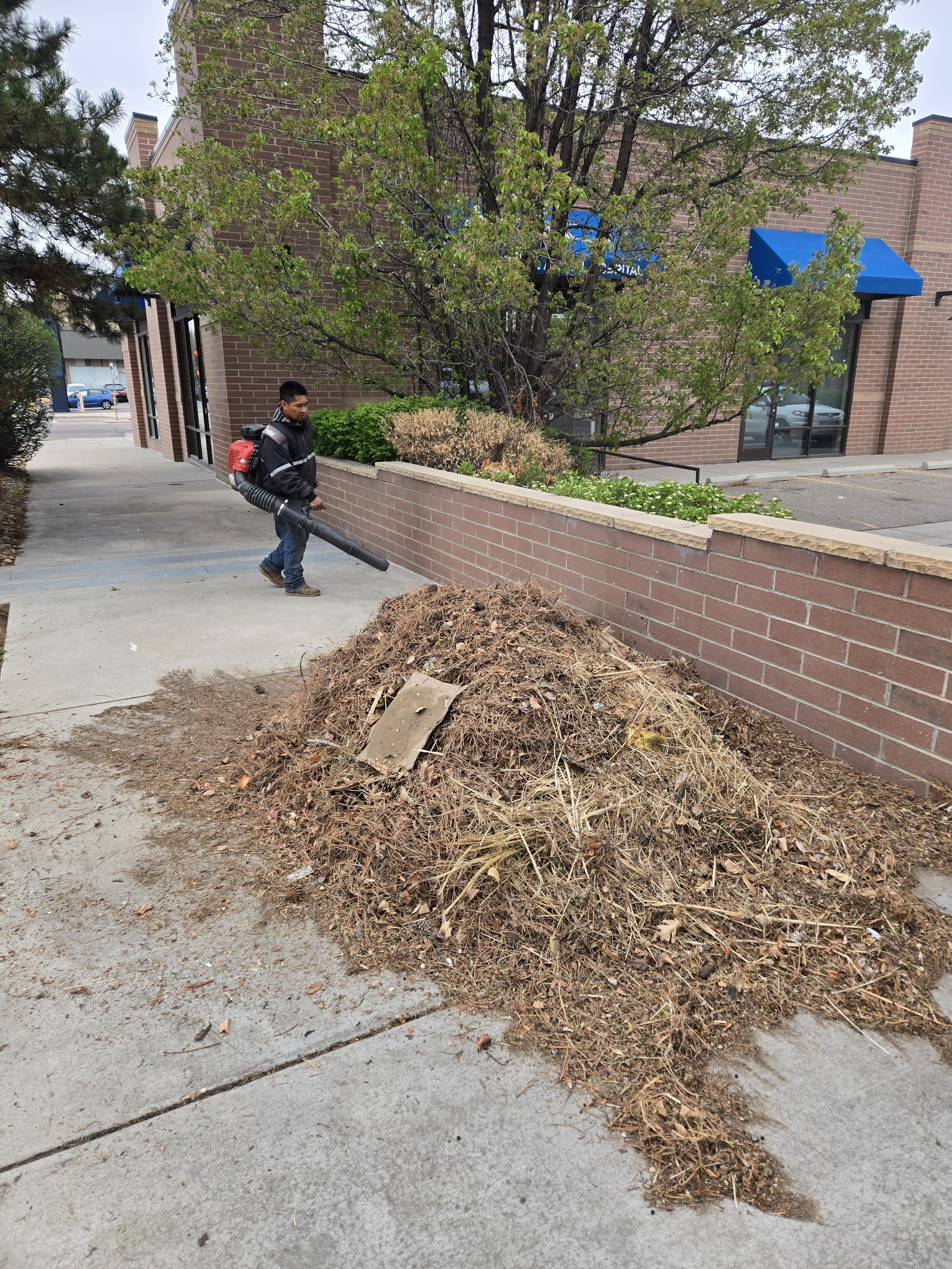 Gallery image 3 — Peak Elevation Landscaping