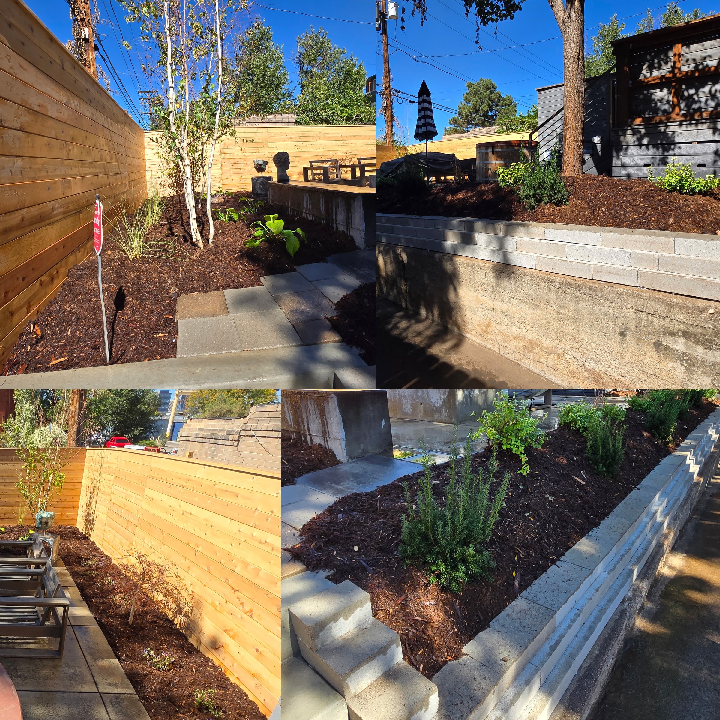 Gallery image 6 — Peak Elevation Landscaping