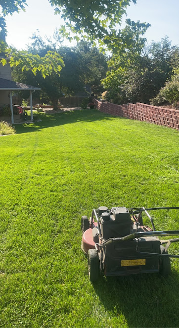 About hedge trimming Greenwood Village