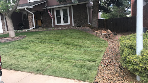 Gallery image 1 — hedge trimming Greenwood Village