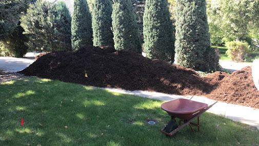 fall leaf removal Centennial